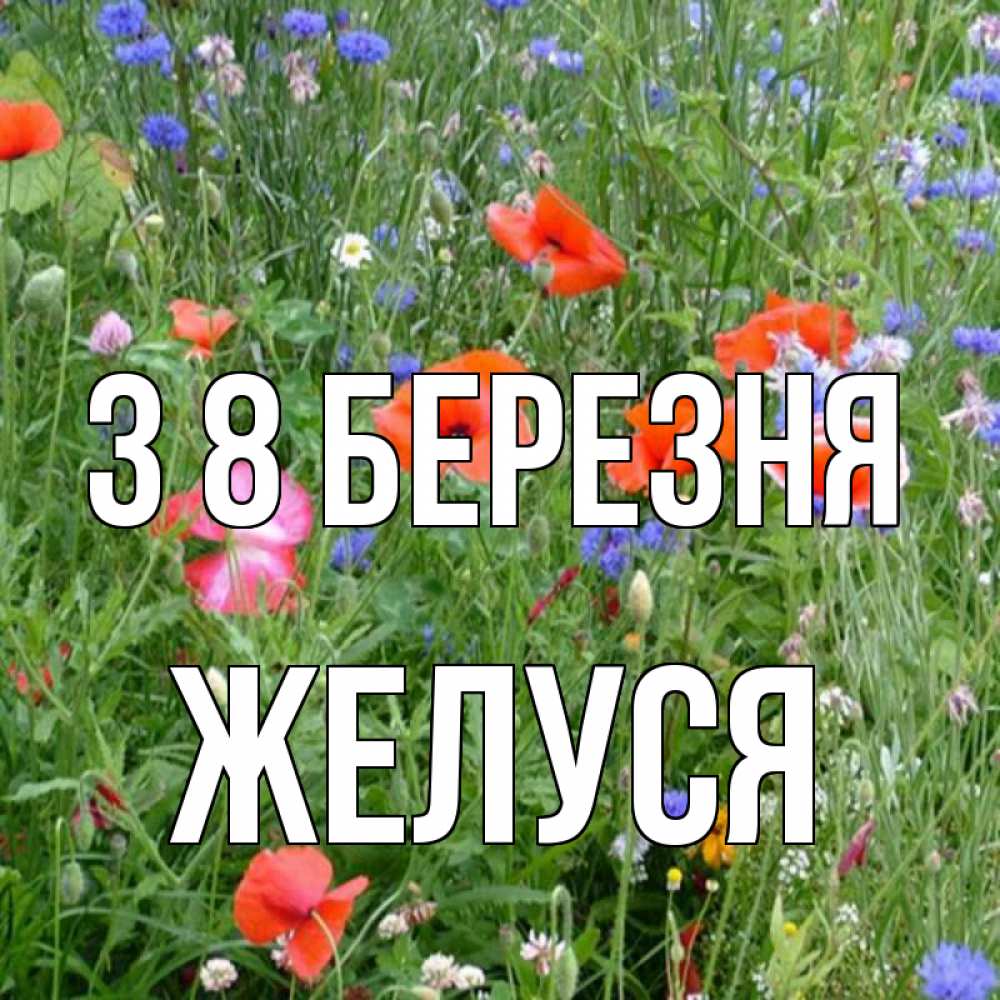 Открытка на каждый день з підписом, Желуся З 8 БЕРЕЗНЯ международный женский день 4 Прикольна листівка з побажанням онлайн скачати безкоштовно 