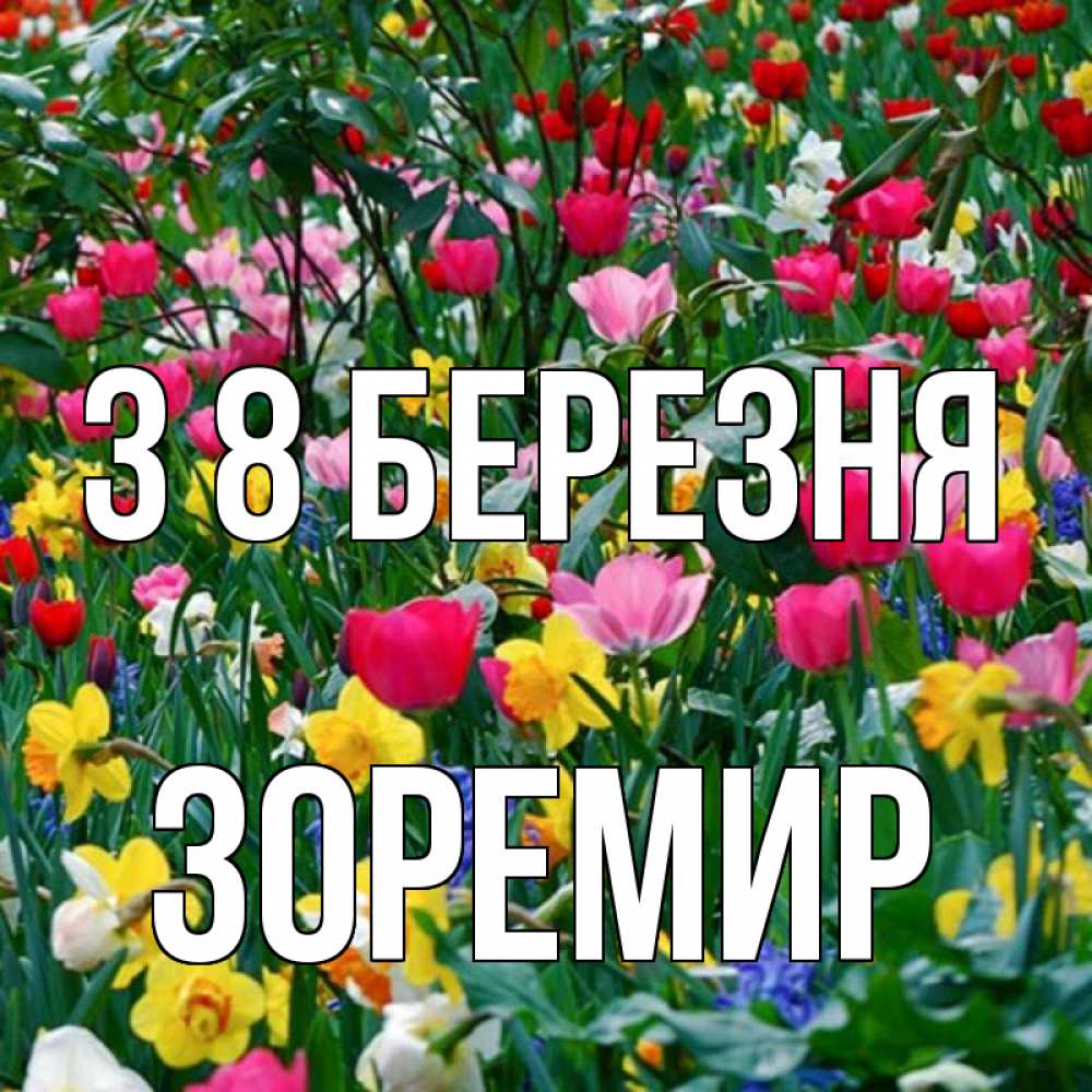 Открытка на каждый день з підписом, Зоремир З 8 БЕРЕЗНЯ с международным женским днем поздравления для женщины Прикольна листівка з побажанням онлайн скачати безкоштовно 