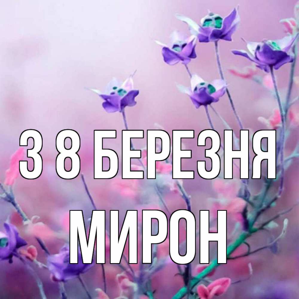 Открытка на каждый день з підписом, Мирон З 8 БЕРЕЗНЯ международный женский день 2 Прикольна листівка з побажанням онлайн скачати безкоштовно 