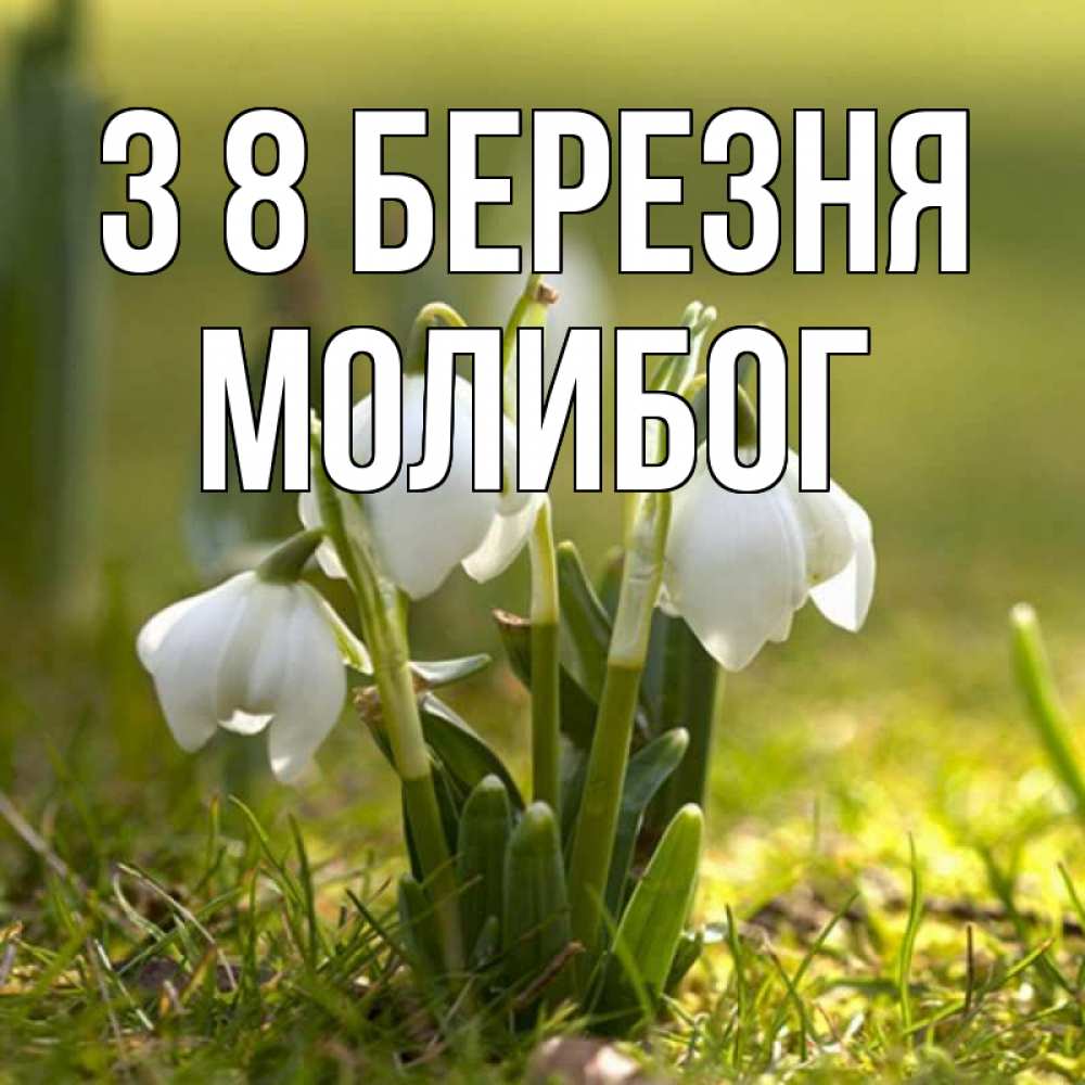 Открытка на каждый день з підписом, Молибог З 8 БЕРЕЗНЯ ранние цветы 2 Прикольна листівка з побажанням онлайн скачати безкоштовно 