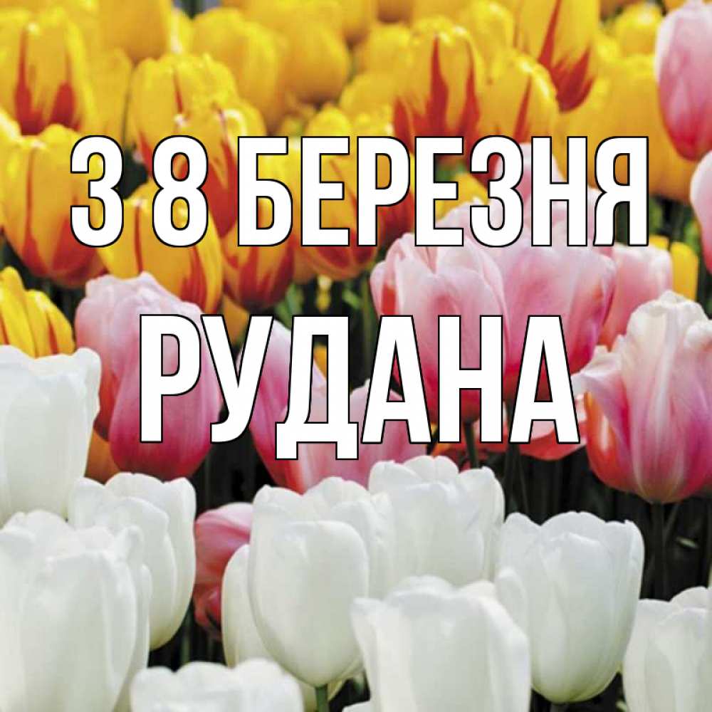 Открытка на каждый день з підписом, Рудана З 8 БЕРЕЗНЯ разноцветные цветы Прикольна листівка з побажанням онлайн скачати безкоштовно 