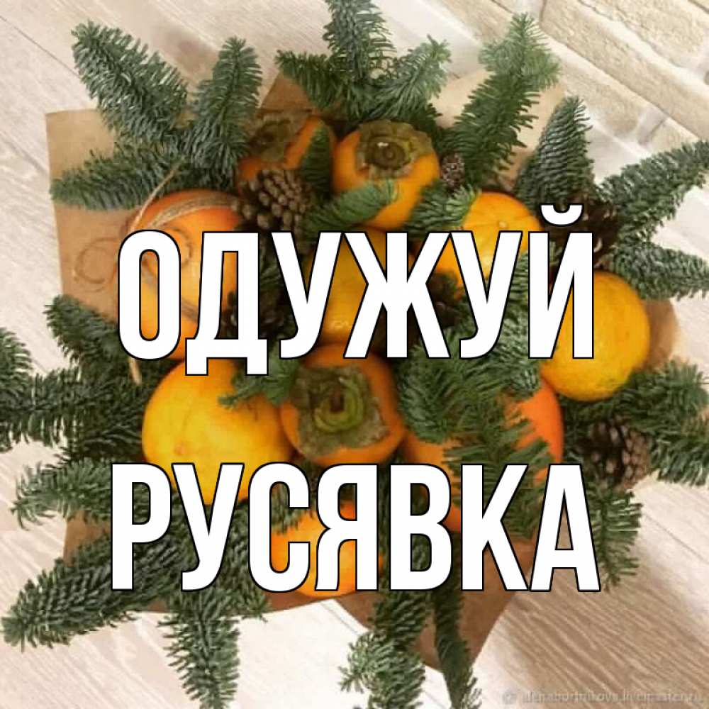 Открытка на каждый день з підписом, Русявка Одужуй апельсины и хурьма Прикольна листівка з побажанням онлайн скачати безкоштовно 