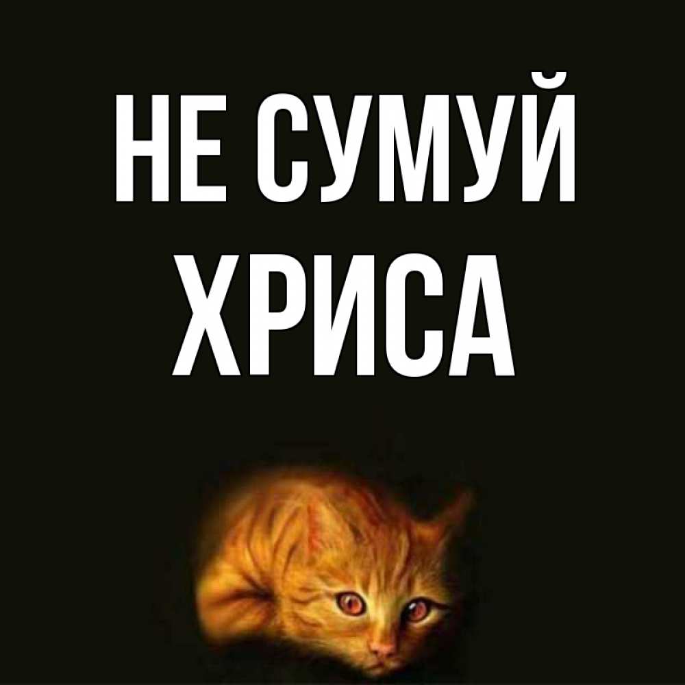 Открытка на каждый день з підписом, Хриса Не сумуй лежащий кот в темноте Прикольна листівка з побажанням онлайн скачати безкоштовно 