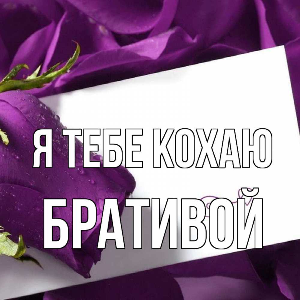 Открытка на каждый день з підписом, Бративой Я тебе кохаю роза Прикольна листівка з побажанням онлайн скачати безкоштовно 