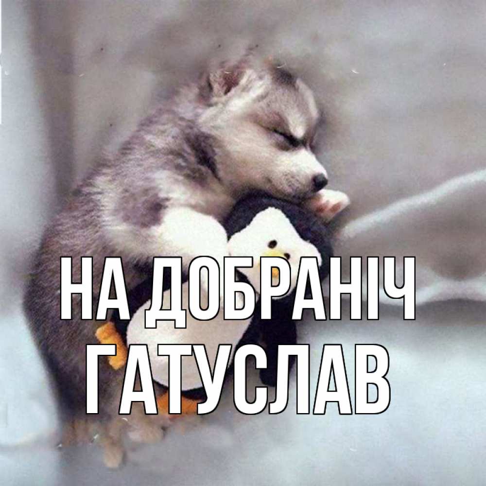 Открытка на каждый день з підписом, Гатуслав На добраніч обнимашки щенка и пингвина Прикольна листівка з побажанням онлайн скачати безкоштовно 