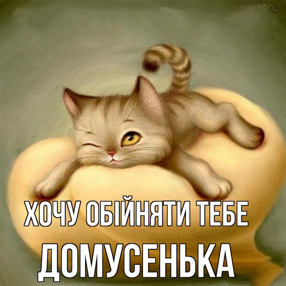 Открытка на каждый день з підписом, Домусенька Хочу обійняти тебе кошечка Прикольна листівка з побажанням онлайн скачати безкоштовно 