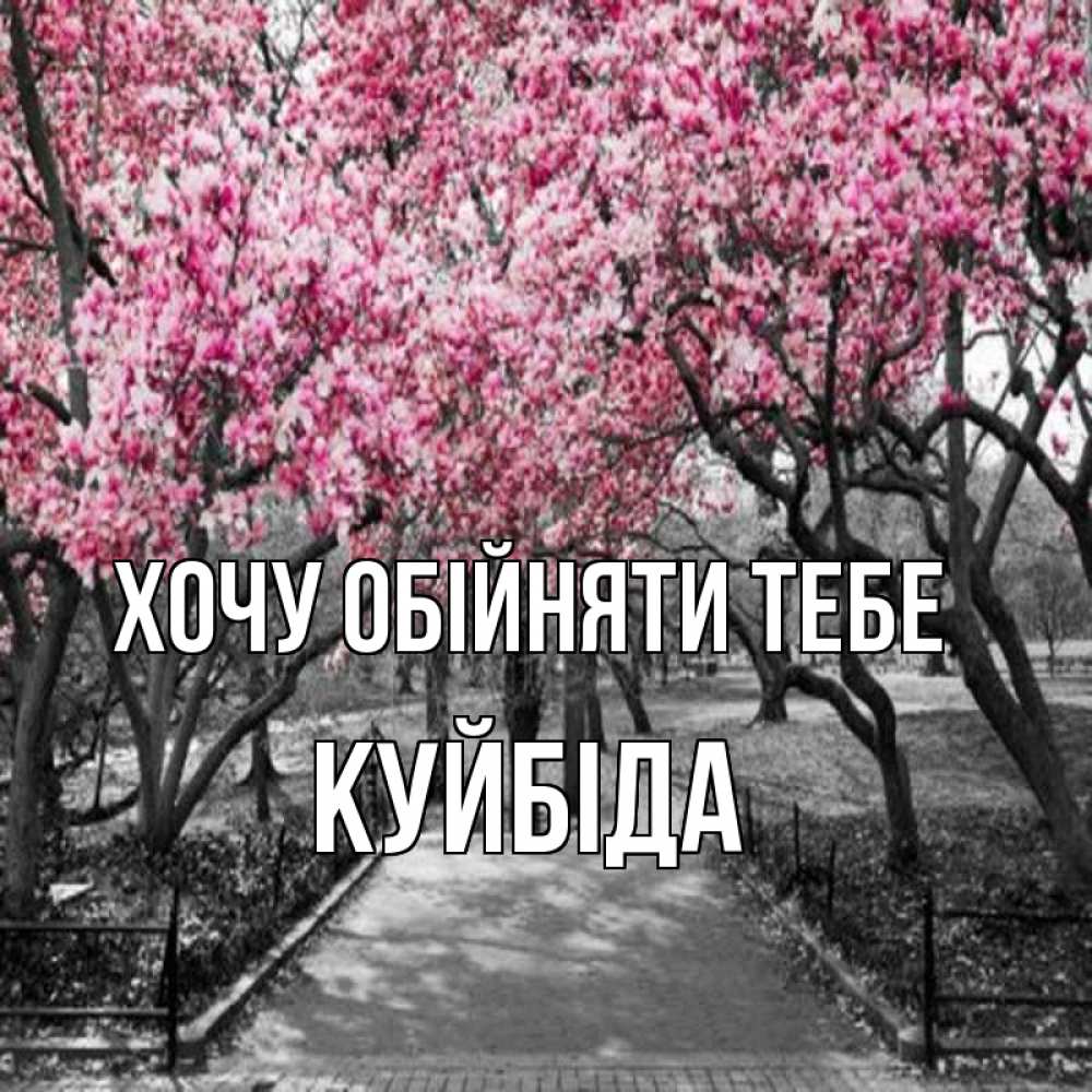 Открытка на каждый день з підписом, Куйбіда Хочу обійняти тебе обработанное фото Прикольна листівка з побажанням онлайн скачати безкоштовно 