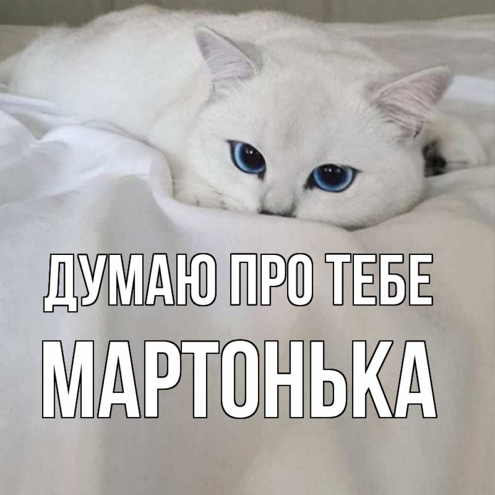Открытка на каждый день з підписом, Мартонька Думаю про тебе я очень по тебе скучаю и тоскую Прикольна листівка з побажанням онлайн скачати безкоштовно 