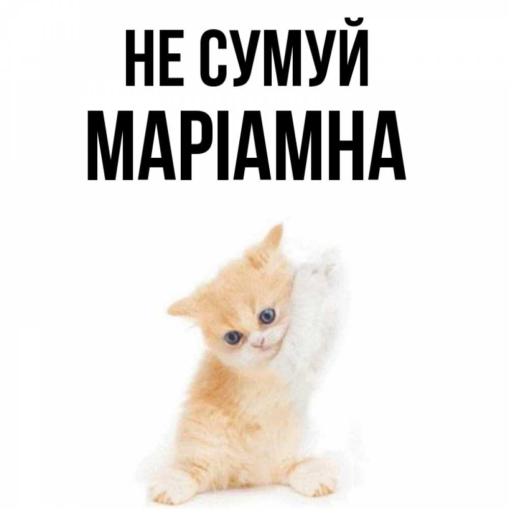 Открытка на каждый день з підписом, Маріамна Не сумуй просящий кот Прикольна листівка з побажанням онлайн скачати безкоштовно 