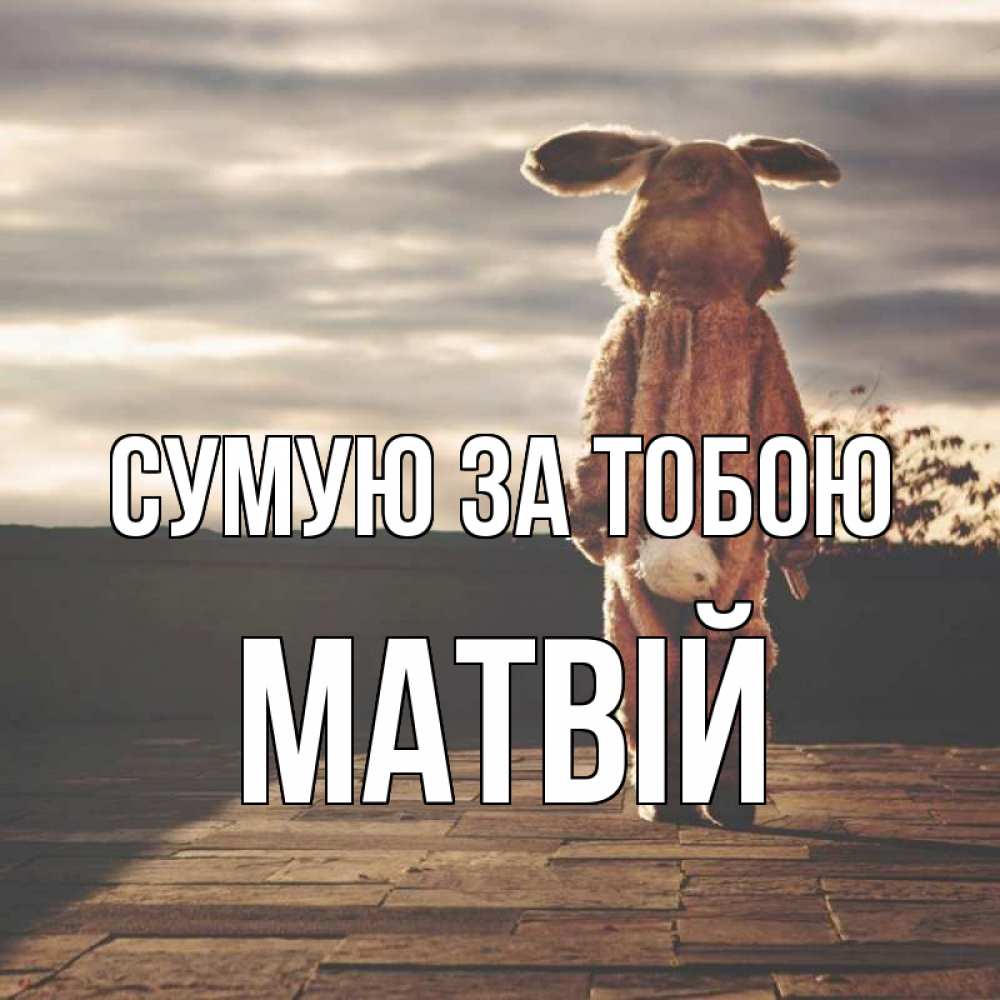 Открытка на каждый день з підписом, Матвій Сумую за тобою даже в костюме зайца Прикольна листівка з побажанням онлайн скачати безкоштовно 