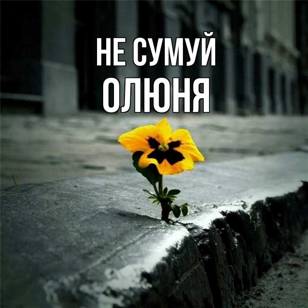 Открытка на каждый день з підписом, Олюня Не сумуй не сдавайся Прикольна листівка з побажанням онлайн скачати безкоштовно 