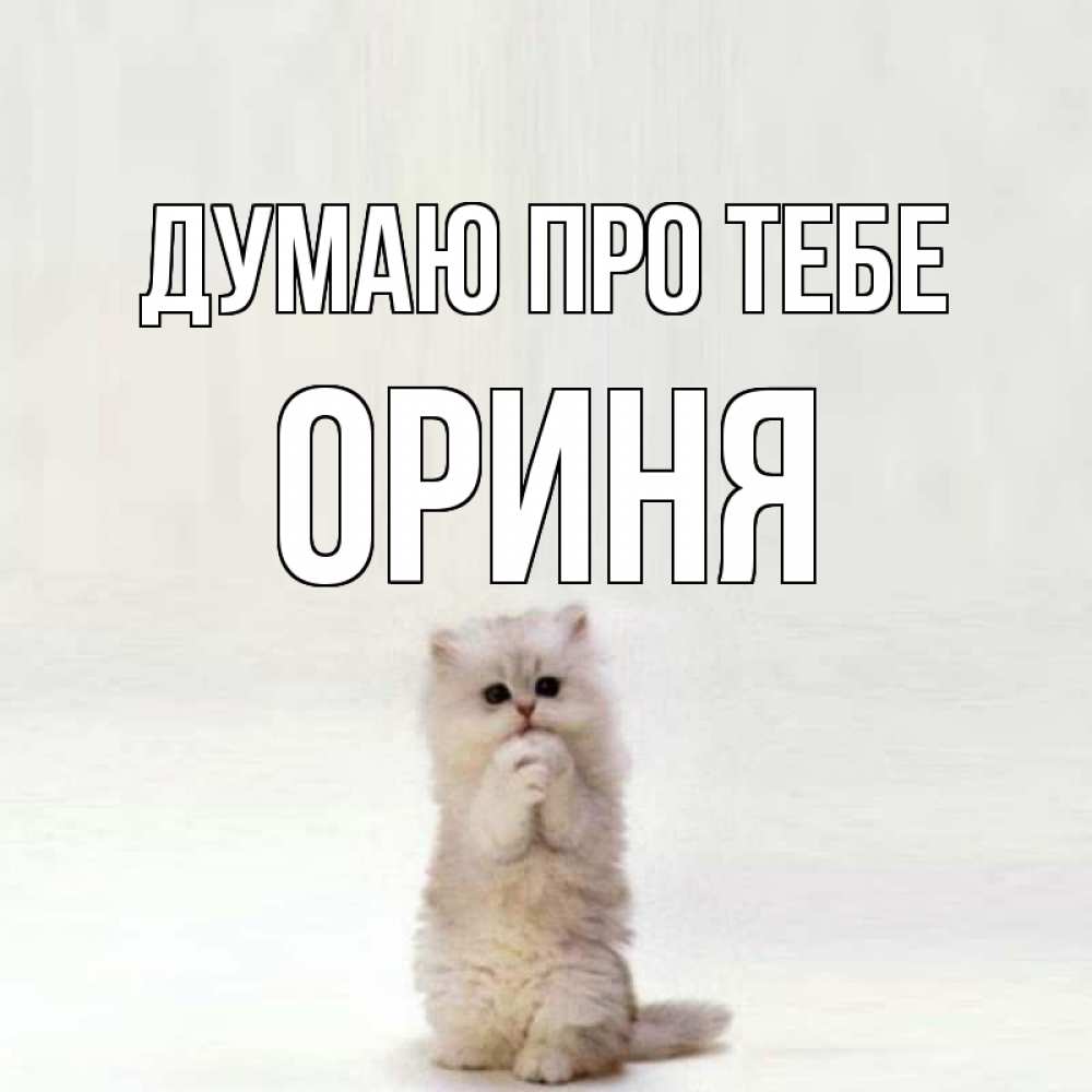 Открытка на каждый день з підписом, Ориня Думаю про тебе кот стоит на задних лапах Прикольна листівка з побажанням онлайн скачати безкоштовно 