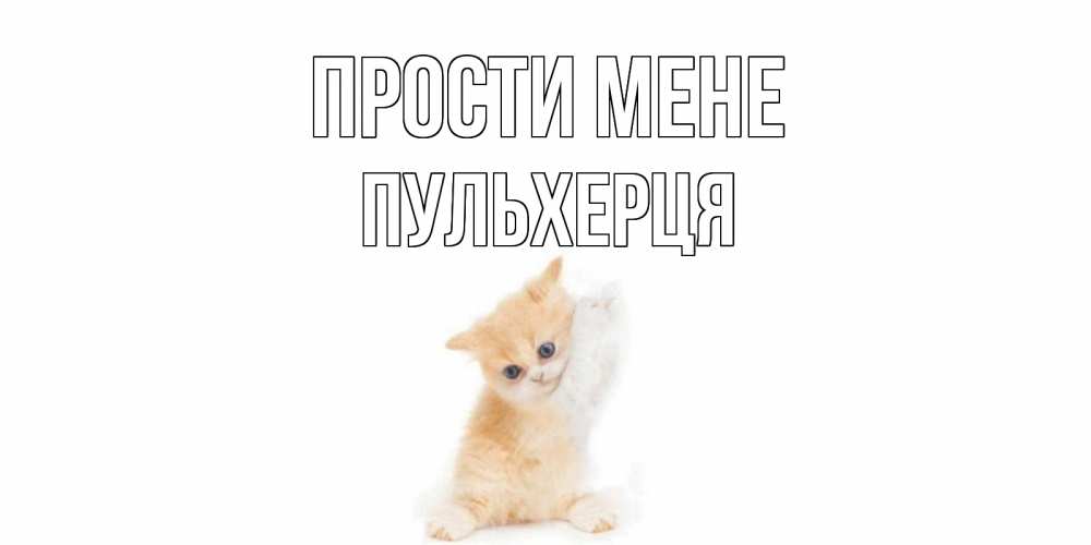 Открытка на каждый день з підписом, Пульхерця Прости мене кот Прикольна листівка з побажанням онлайн скачати безкоштовно 
