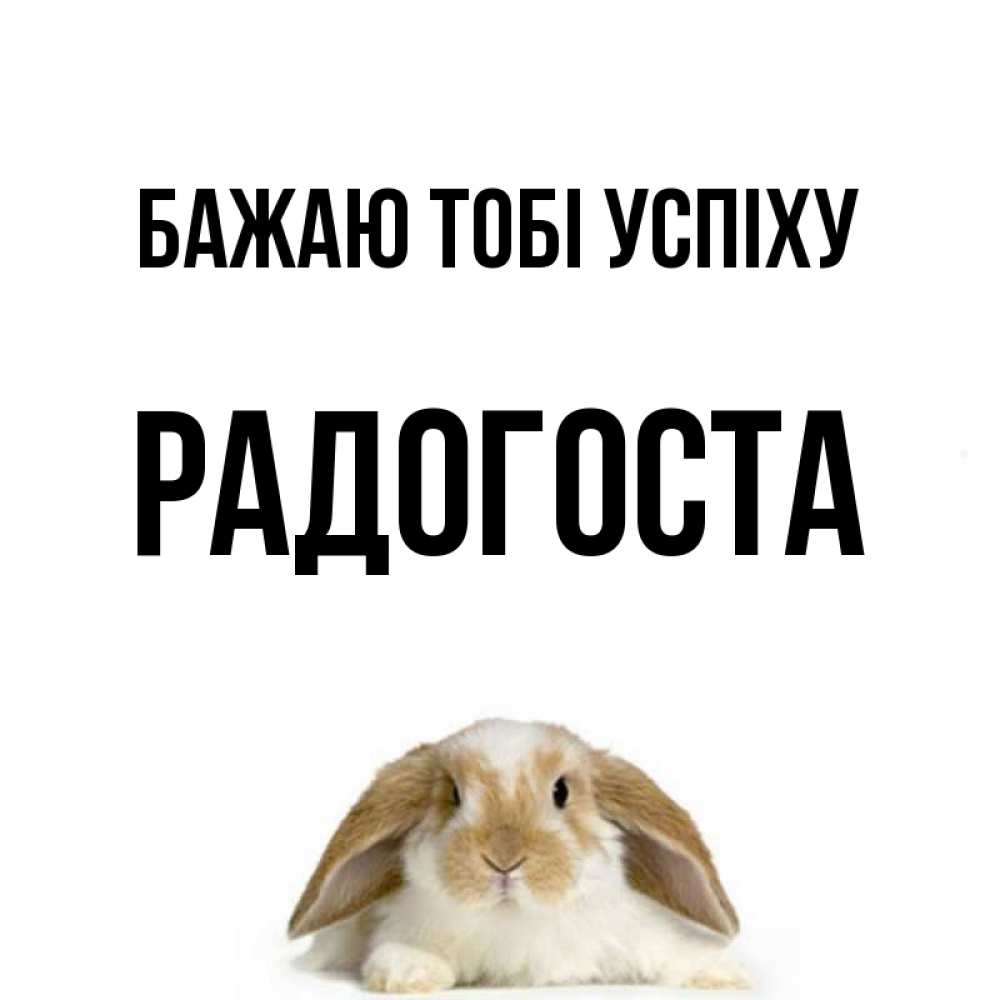 Открытка на каждый день з підписом, Радогоста Бажаю тобі успіху открытки с произвольным текстом который можно вставить в открытку и создать ее самостоятельно бесплатно онлайн Прикольна листівка з побажанням онлайн скачати безкоштовно 