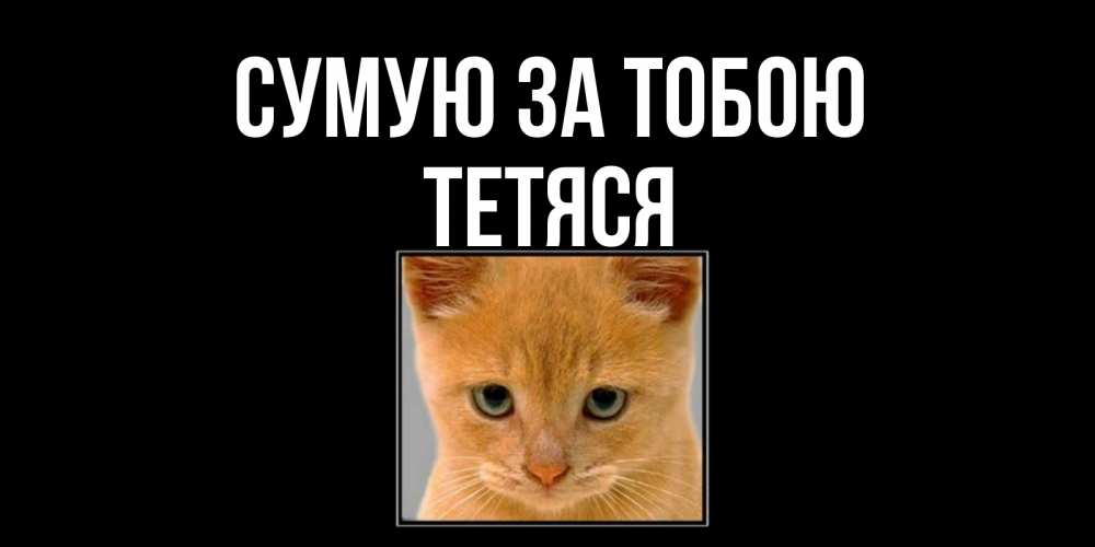 Открытка на каждый день з підписом, Тетяся Сумую за тобою открытки рыжий котенок скучает по тебе Прикольна листівка з побажанням онлайн скачати безкоштовно 