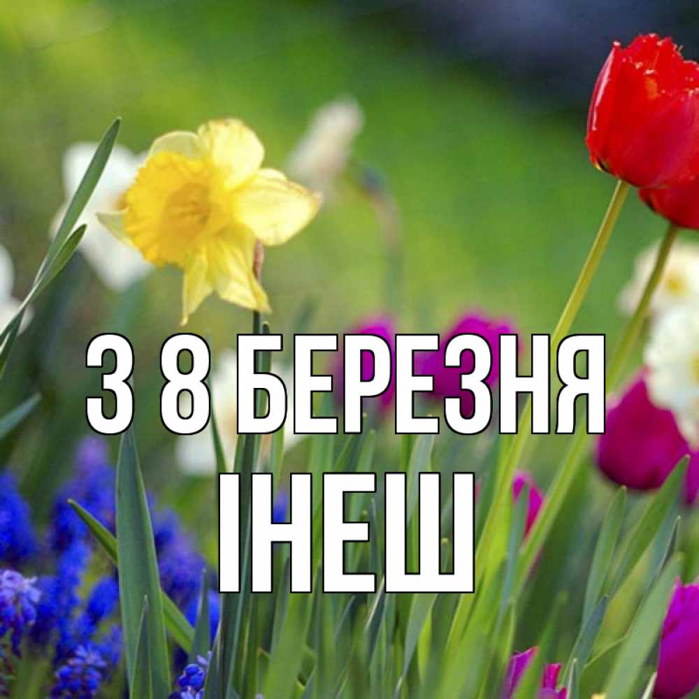 Открытка на каждый день з підписом, Інеш З 8 БЕРЕЗНЯ международный женский день 3 Прикольна листівка з побажанням онлайн скачати безкоштовно 