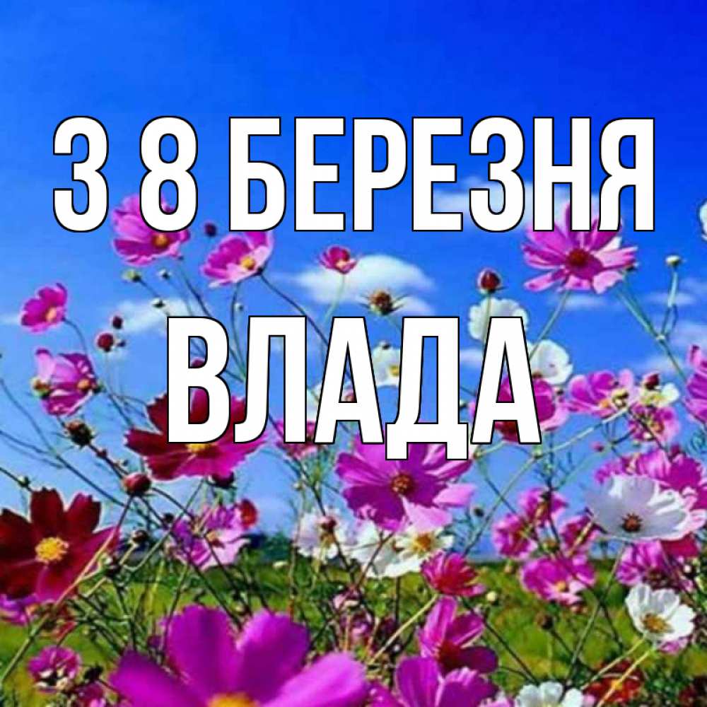 Открытка на каждый день з підписом, Влада З 8 БЕРЕЗНЯ цветы Прикольна листівка з побажанням онлайн скачати безкоштовно 