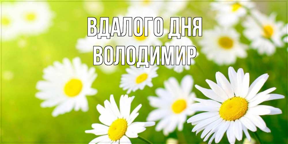 Открытка на каждый день з підписом, Володимир Вдалого дня открытка с ромашками на зеленом фоне Прикольна листівка з побажанням онлайн скачати безкоштовно 
