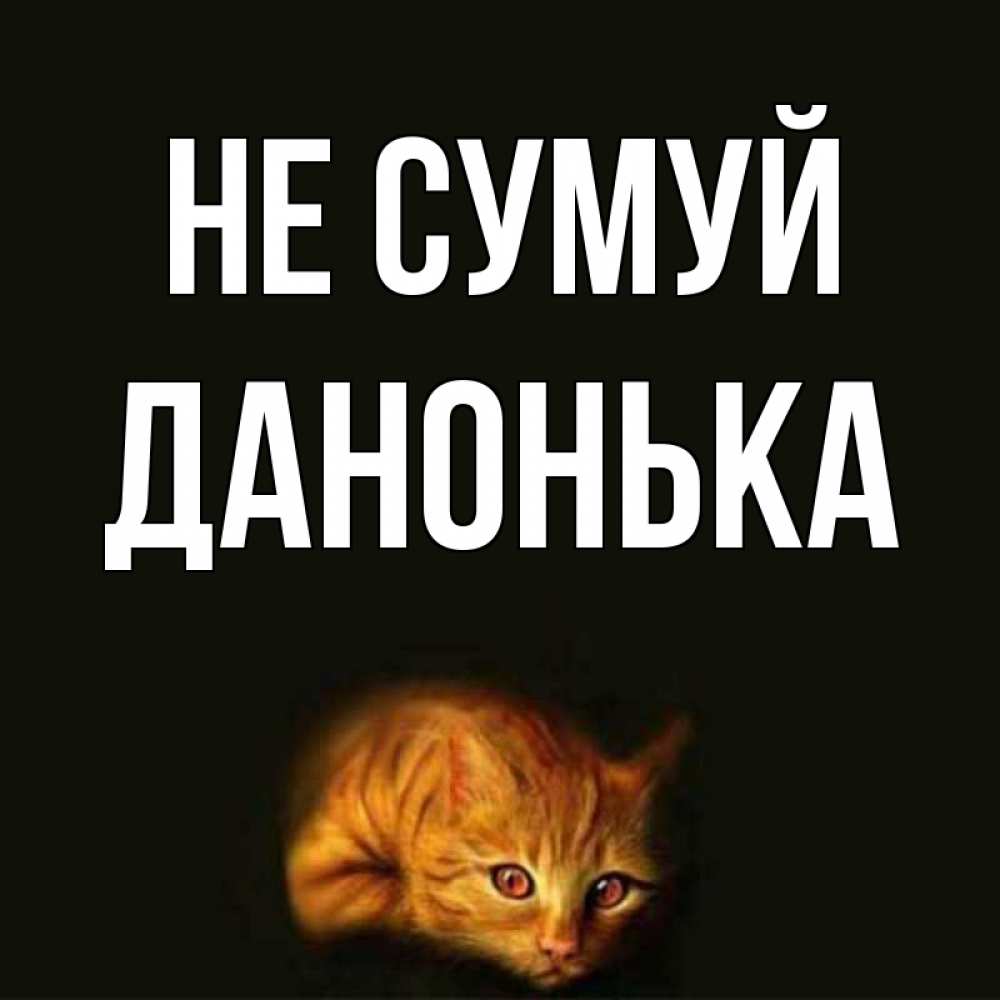 Открытка на каждый день з підписом, Данонька Не сумуй лежащий кот в темноте Прикольна листівка з побажанням онлайн скачати безкоштовно 
