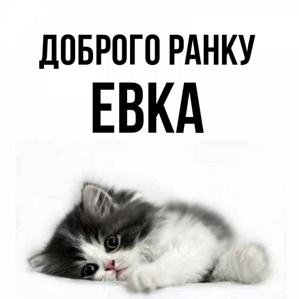 Открытка на каждый день з підписом, Евка Доброго ранку кот лапки Прикольна листівка з побажанням онлайн скачати безкоштовно 