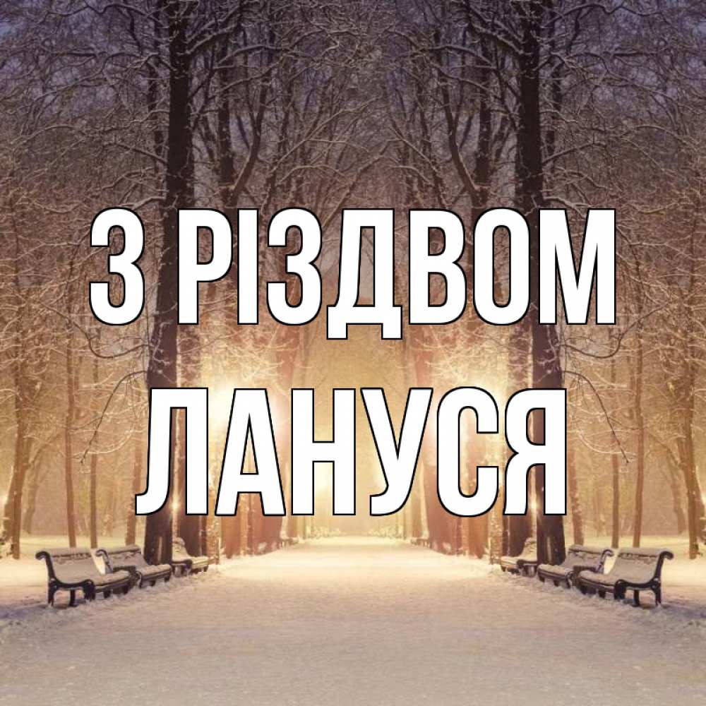 Открытка на каждый день з підписом, Лануся З Різдвом зима, парк, фонарь, лес Прикольна листівка з побажанням онлайн скачати безкоштовно 