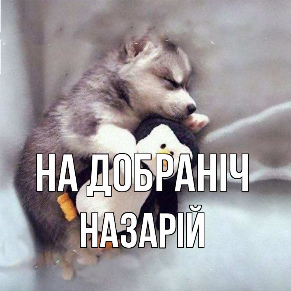 Открытка на каждый день з підписом, Назарій На добраніч обнимашки щенка и пингвина Прикольна листівка з побажанням онлайн скачати безкоштовно 