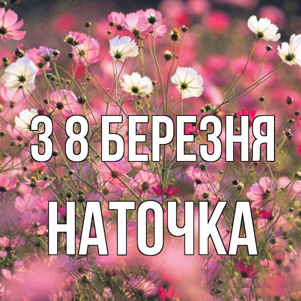Открытка на каждый день з підписом, Наточка З 8 БЕРЕЗНЯ красиво 1 Прикольна листівка з побажанням онлайн скачати безкоштовно 