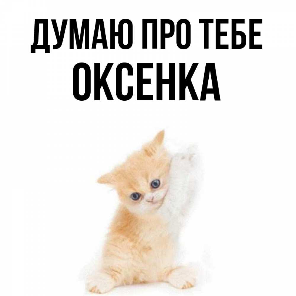 Открытка на каждый день з підписом, Оксенка Думаю про тебе зверушки и милота Прикольна листівка з побажанням онлайн скачати безкоштовно 