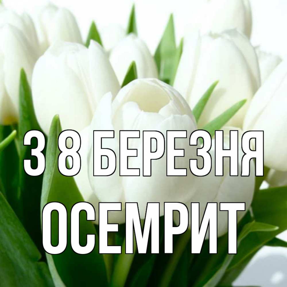 Открытка на каждый день з підписом, Осемрит З 8 БЕРЕЗНЯ цветы Прикольна листівка з побажанням онлайн скачати безкоштовно 