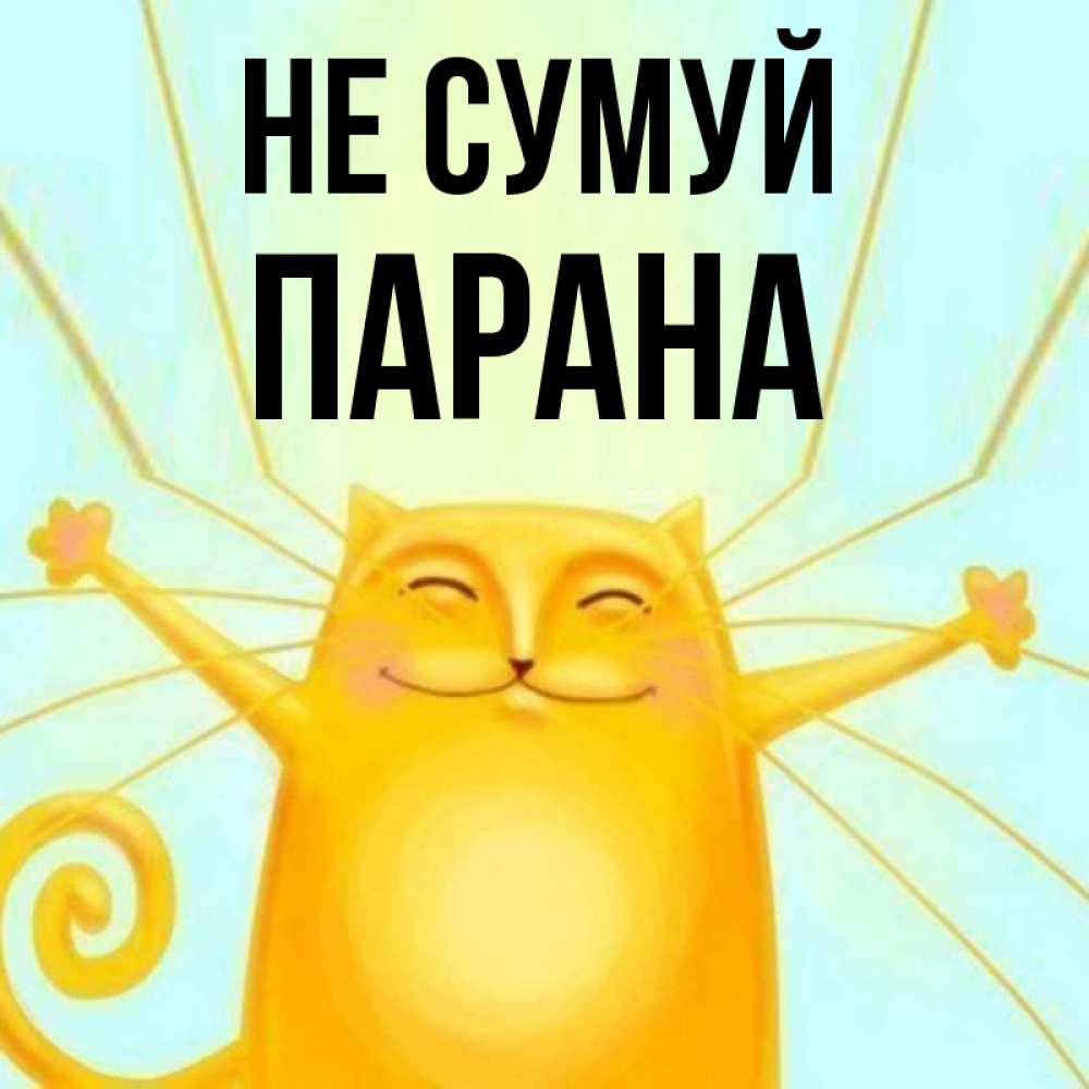 Открытка на каждый день з підписом, Парана Не сумуй обнимашки усатые Прикольна листівка з побажанням онлайн скачати безкоштовно 