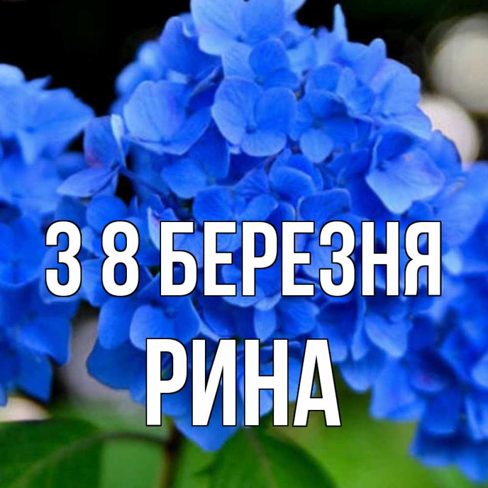 Открытка на каждый день з підписом, Рина З 8 БЕРЕЗНЯ синие цветы Прикольна листівка з побажанням онлайн скачати безкоштовно 