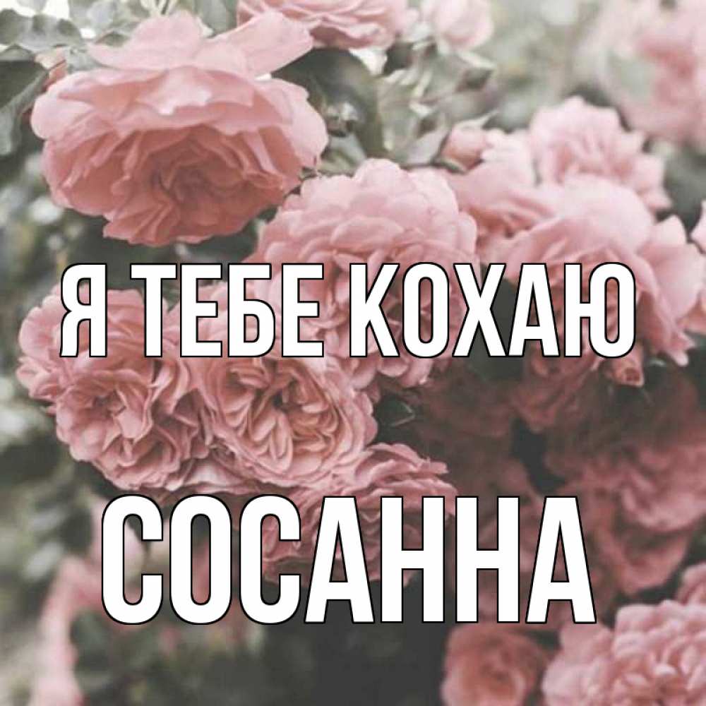 Открытка на каждый день з підписом, Сосанна Я тебе кохаю розы 3 Прикольна листівка з побажанням онлайн скачати безкоштовно 