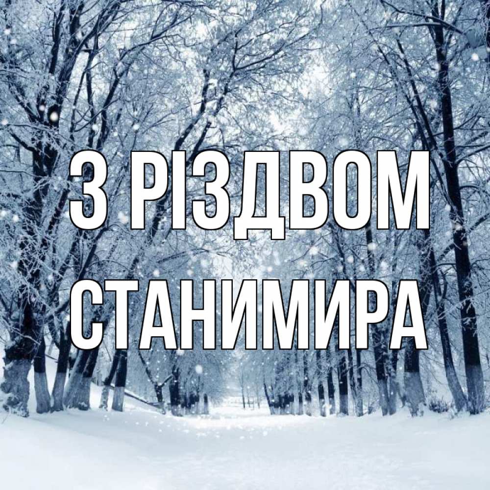 Открытка на каждый день з підписом, Станимира З Різдвом снег, лес, парк Прикольна листівка з побажанням онлайн скачати безкоштовно 