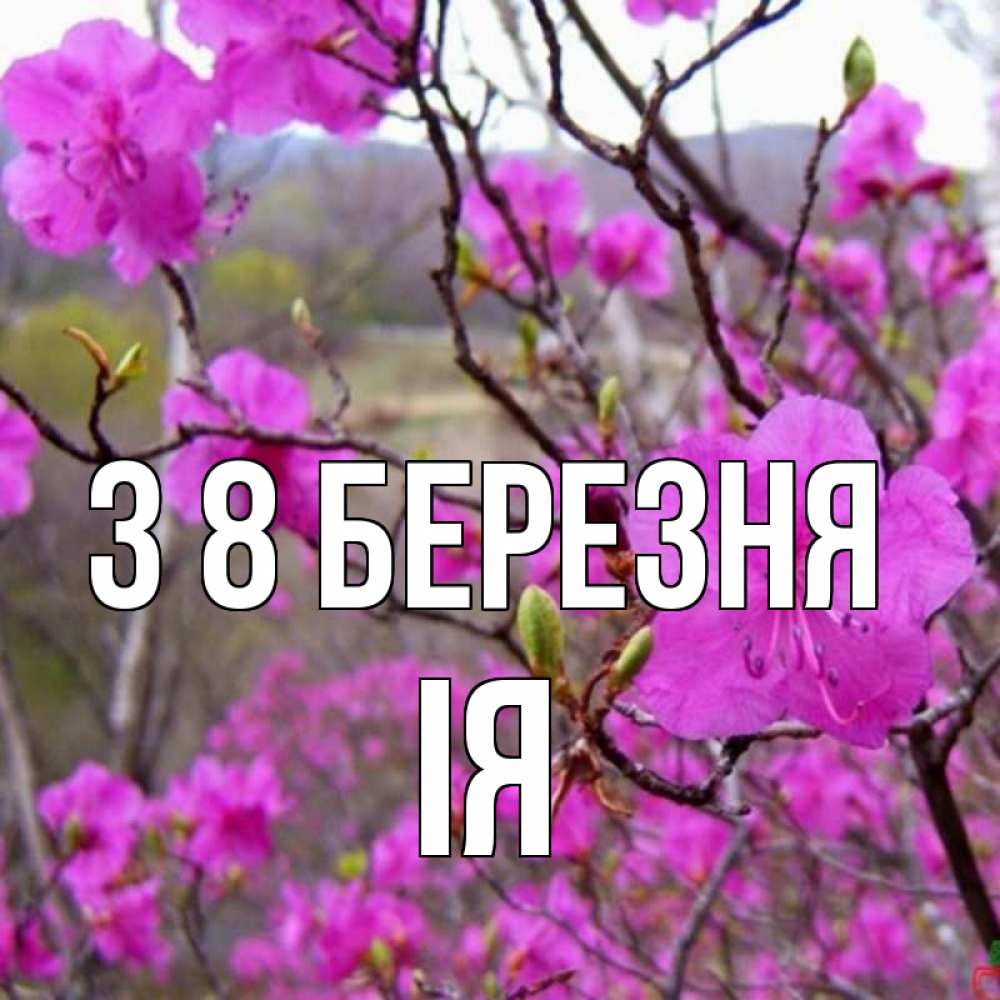 Открытка на каждый день з підписом, Ія З 8 БЕРЕЗНЯ международный женский день Прикольна листівка з побажанням онлайн скачати безкоштовно 