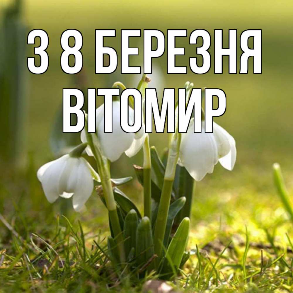 Открытка на каждый день з підписом, Вітомир З 8 БЕРЕЗНЯ ранние цветы 2 Прикольна листівка з побажанням онлайн скачати безкоштовно 