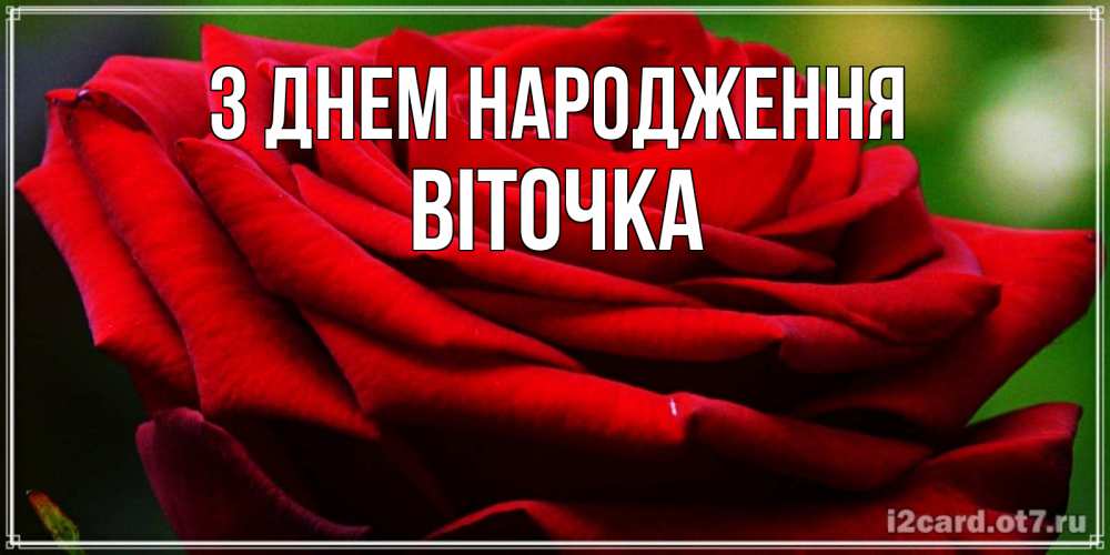 Открытка на каждый день з підписом, Віточка З Днем народження розочка очень красивая Прикольна листівка з побажанням онлайн скачати безкоштовно 