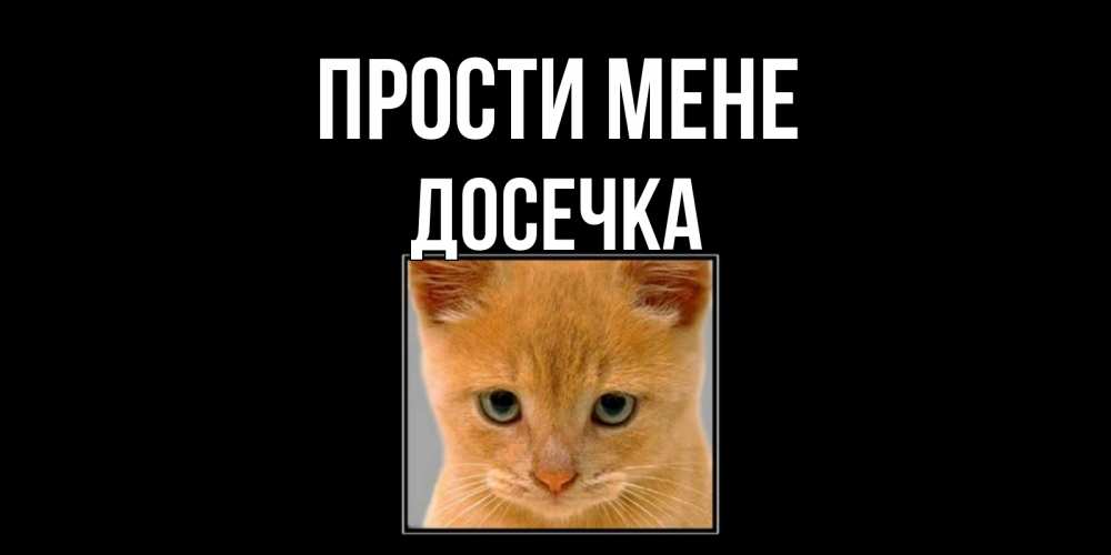 Открытка на каждый день з підписом, Досечка Прости мене рыжий грустный кот просит прощения Прикольна листівка з побажанням онлайн скачати безкоштовно 