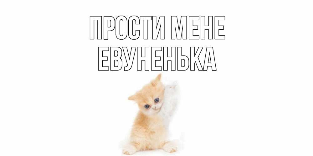 Открытка на каждый день з підписом, Евуненька Прости мене кот Прикольна листівка з побажанням онлайн скачати безкоштовно 