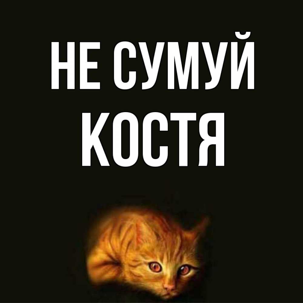 Открытка на каждый день з підписом, Костя Не сумуй лежащий кот в темноте Прикольна листівка з побажанням онлайн скачати безкоштовно 
