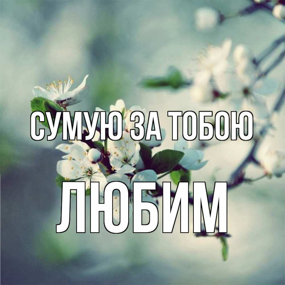 Открытка на каждый день з підписом, Любим Сумую за тобою весна Прикольна листівка з побажанням онлайн скачати безкоштовно 