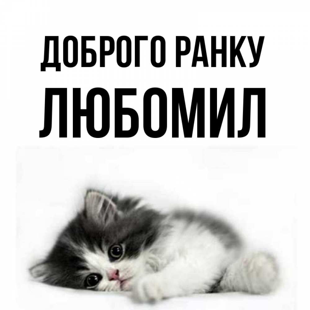 Открытка на каждый день з підписом, Любомил Доброго ранку кот лапки Прикольна листівка з побажанням онлайн скачати безкоштовно 