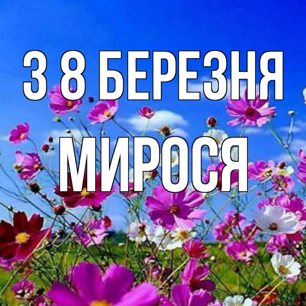 Открытка на каждый день з підписом, Мирося З 8 БЕРЕЗНЯ цветы Прикольна листівка з побажанням онлайн скачати безкоштовно 