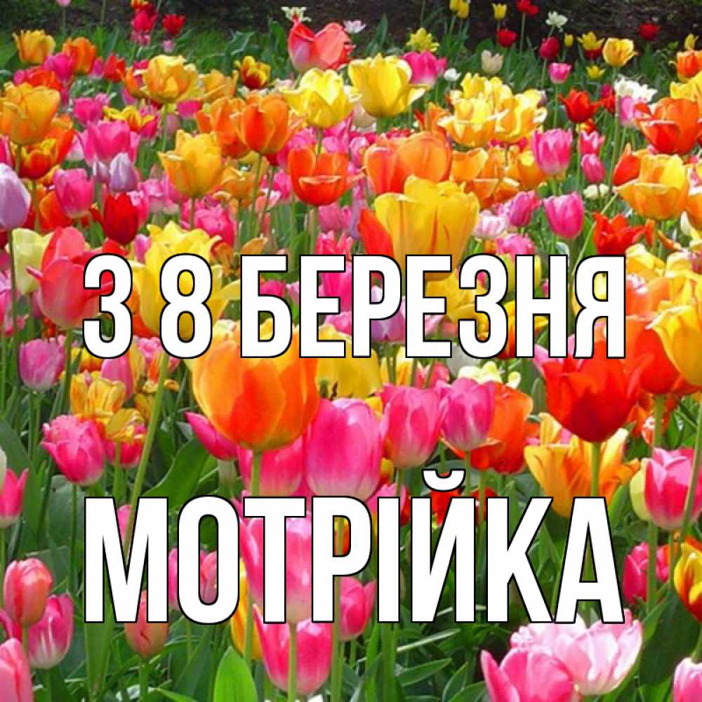 Открытка на каждый день з підписом, Мотрійка З 8 БЕРЕЗНЯ на международный женский день Прикольна листівка з побажанням онлайн скачати безкоштовно 