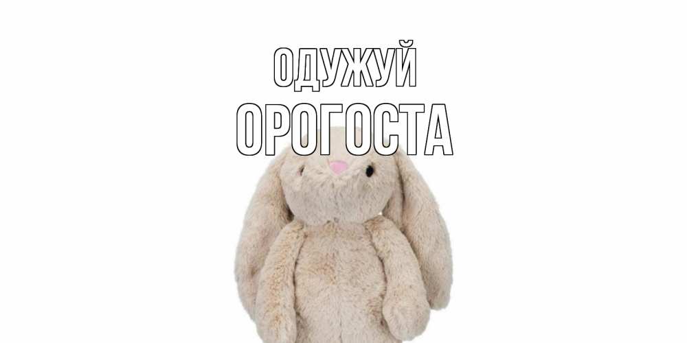 Открытка на каждый день з підписом, Орогоста Одужуй не болей Прикольна листівка з побажанням онлайн скачати безкоштовно 
