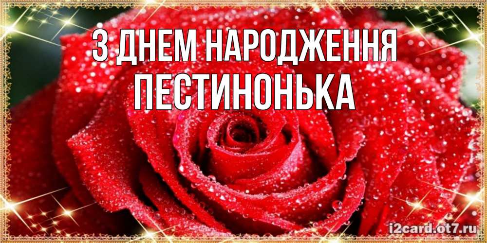 Открытка на каждый день з підписом, Пестинонька З Днем народження роса и роза. открытка с красивой розой Прикольна листівка з побажанням онлайн скачати безкоштовно 