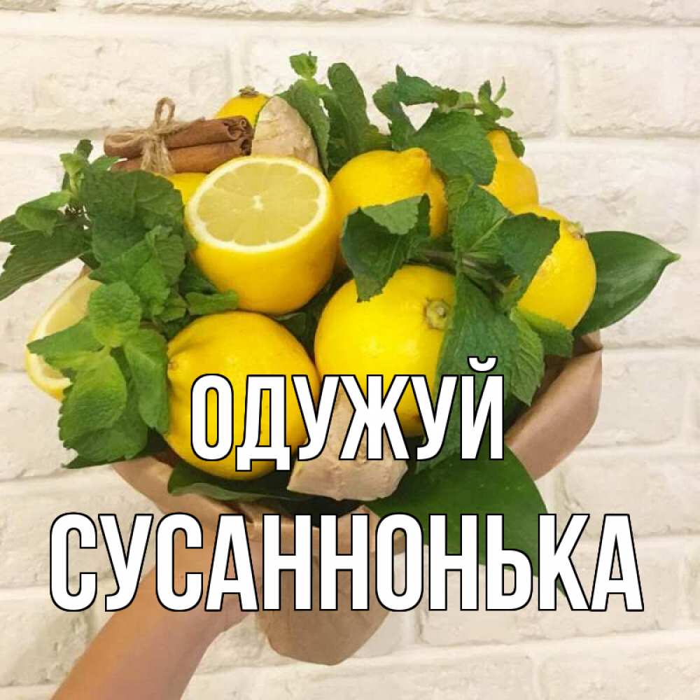 Открытка на каждый день з підписом, Сусаннонька Одужуй витамины Прикольна листівка з побажанням онлайн скачати безкоштовно 