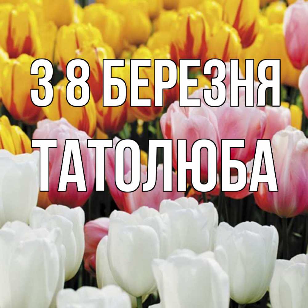 Открытка на каждый день з підписом, Татолюба З 8 БЕРЕЗНЯ разноцветные цветы Прикольна листівка з побажанням онлайн скачати безкоштовно 