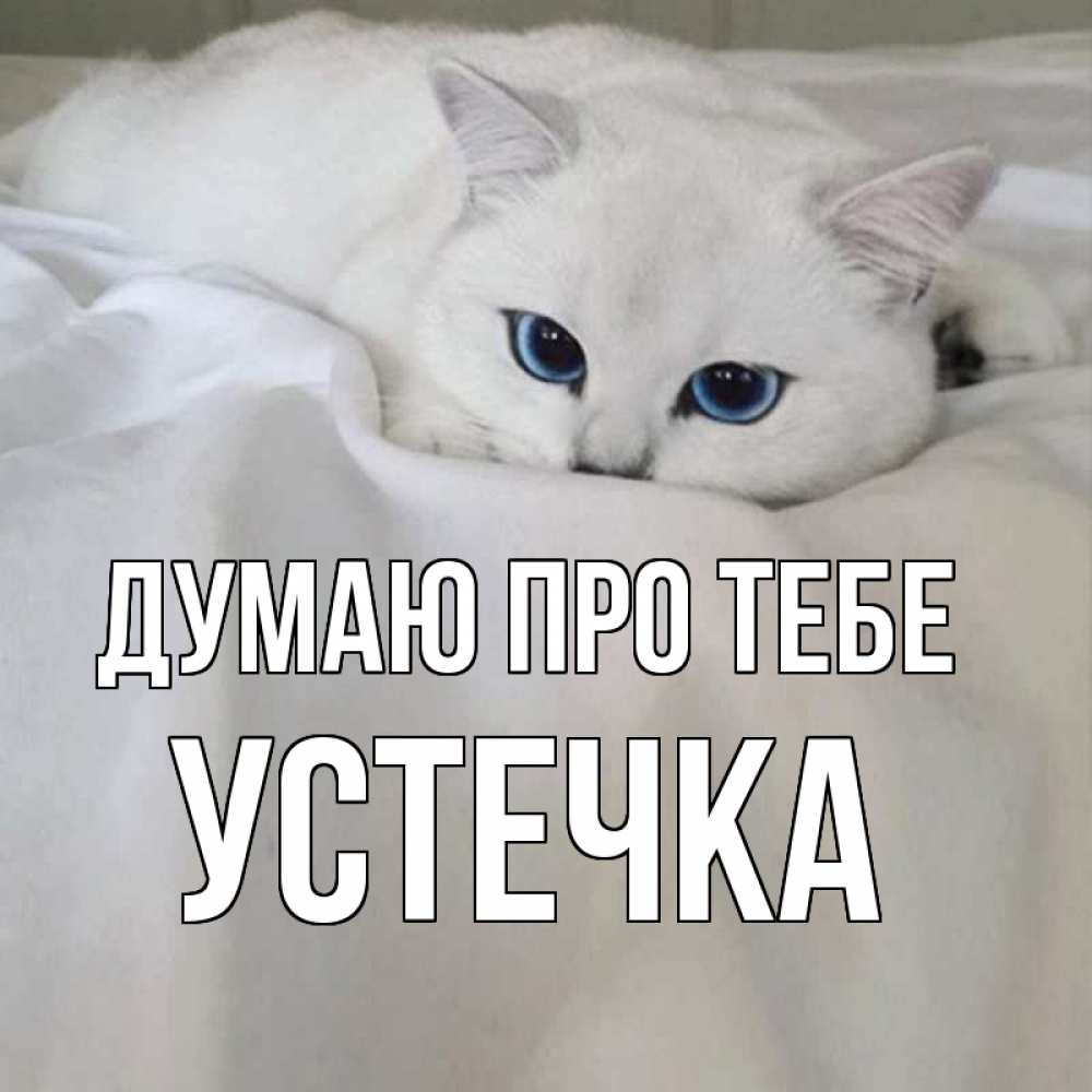 Открытка на каждый день з підписом, Устечка Думаю про тебе я очень по тебе скучаю и тоскую Прикольна листівка з побажанням онлайн скачати безкоштовно 