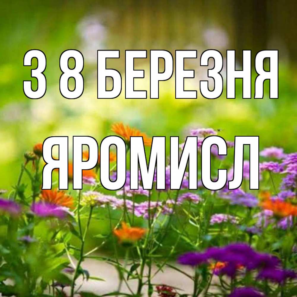 Открытка на каждый день з підписом, Яромисл З 8 БЕРЕЗНЯ цветы Прикольна листівка з побажанням онлайн скачати безкоштовно 