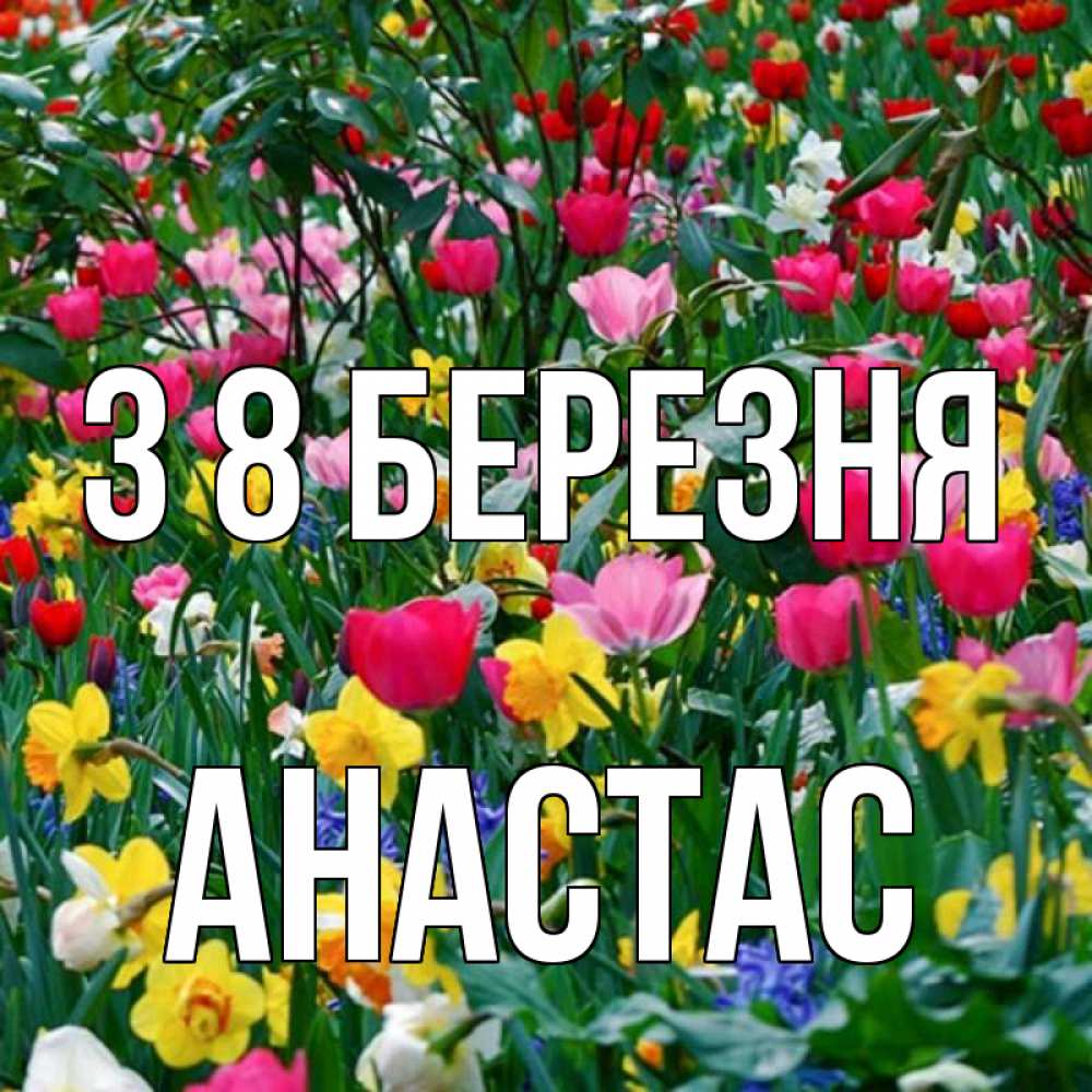 Открытка на каждый день з підписом, Анастас З 8 БЕРЕЗНЯ с международным женским днем поздравления для женщины Прикольна листівка з побажанням онлайн скачати безкоштовно 